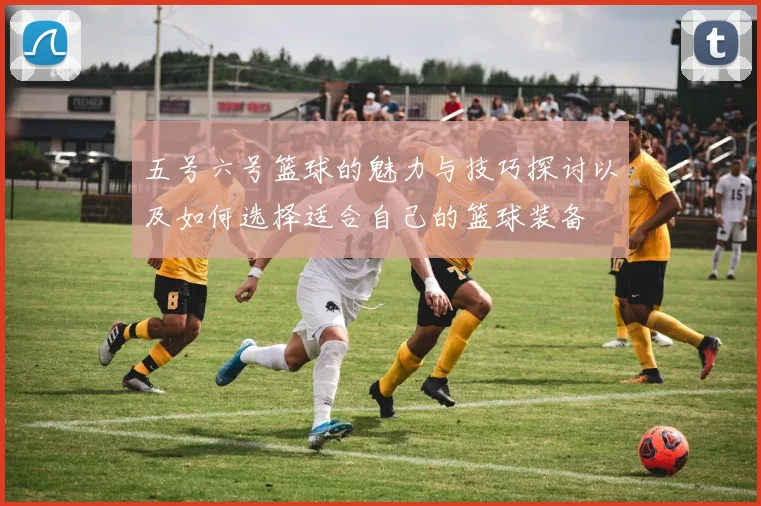 五号六号篮球的魅力与技巧探讨以及如何选择适合自己的篮球装备