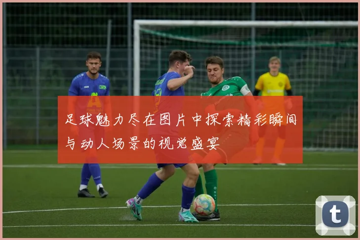 足球魅力尽在图片中探索精彩瞬间与动人场景的视觉盛宴