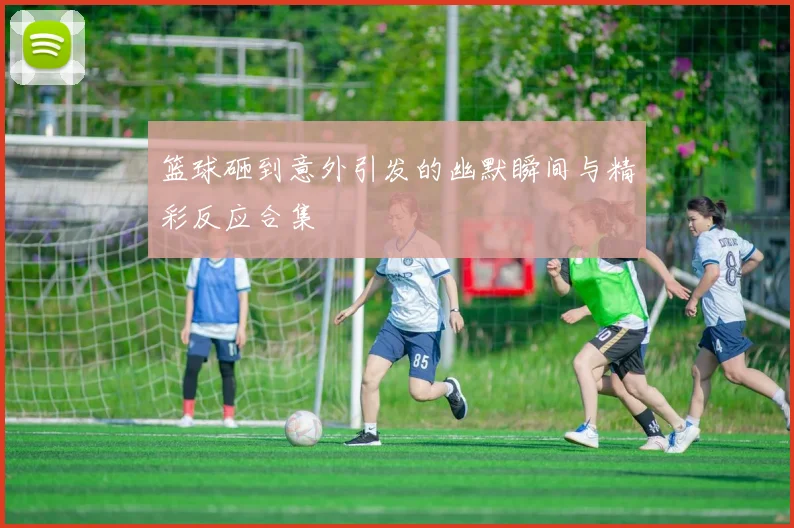 篮球砸到意外引发的幽默瞬间与精彩反应合集